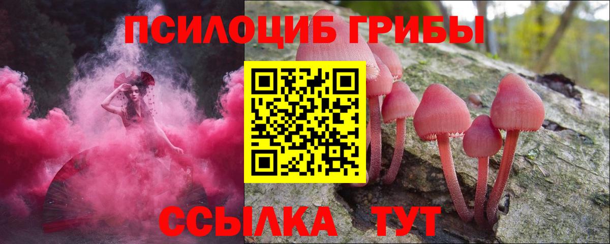 Галлюциногенные грибы GOLDEN TEACHER Кушва